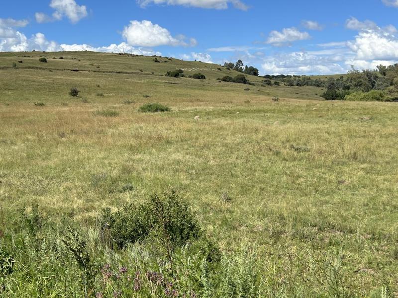 0 Bedroom Property for Sale in Lindley Free State